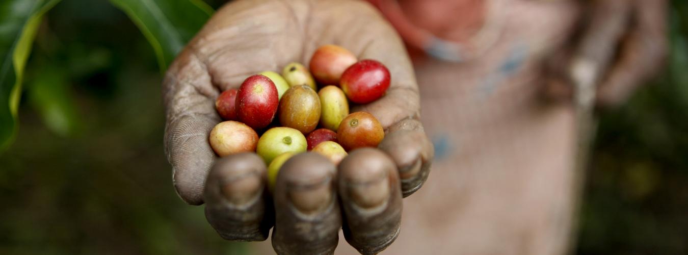 - 18.06 - Journée Mondiale de la Gastronomie Durable -